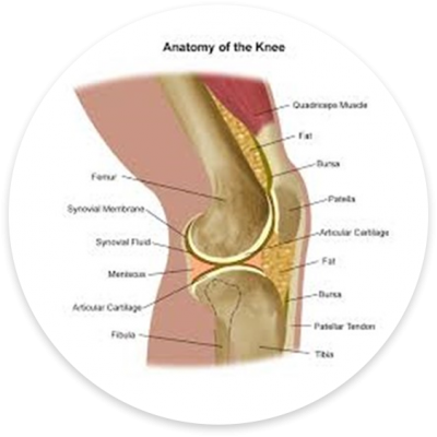 Atrhritis Webinar
